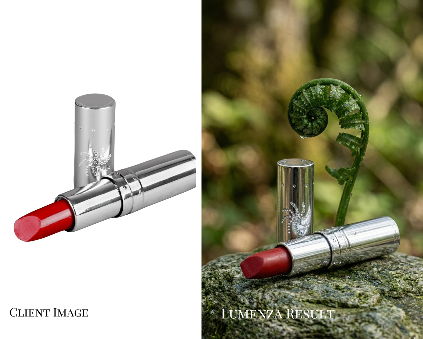 Premium Product Visuals – Professional Visual Editing for Any Business