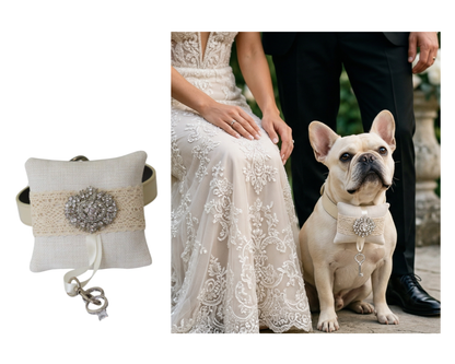 Premium Product Visuals – Professional Visual Editing for Any Business